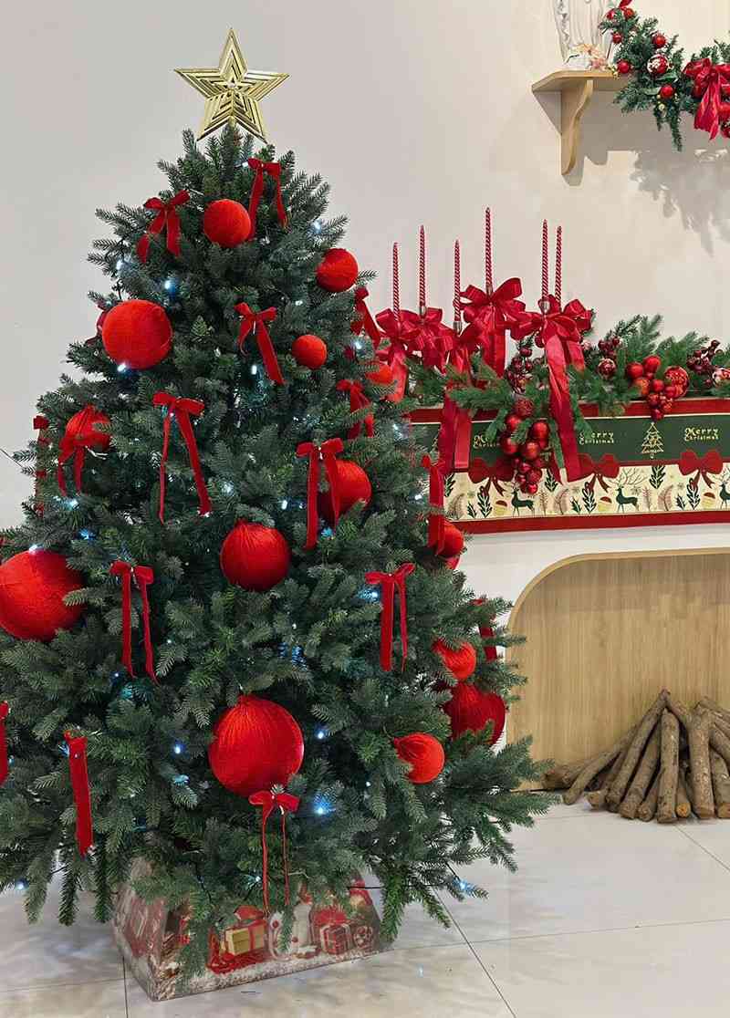  Cho Thuê Cây Thông Noel Tại Quận 8. Ảnh 4